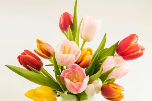 Best Flower Shop Singapore
