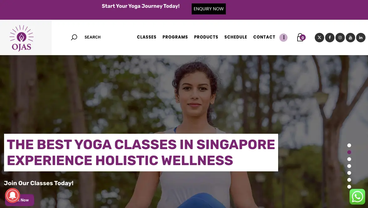 Ojas Yoga And Wellness Prenatal Exercise Singapore