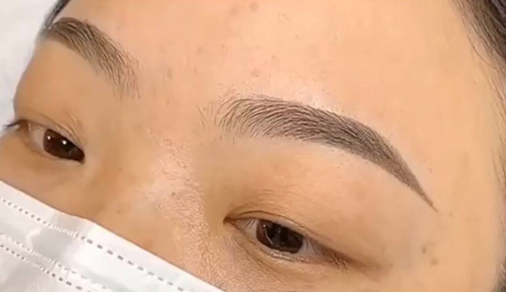 Blush Official Affordable Eyebrow Embroidery Singapore