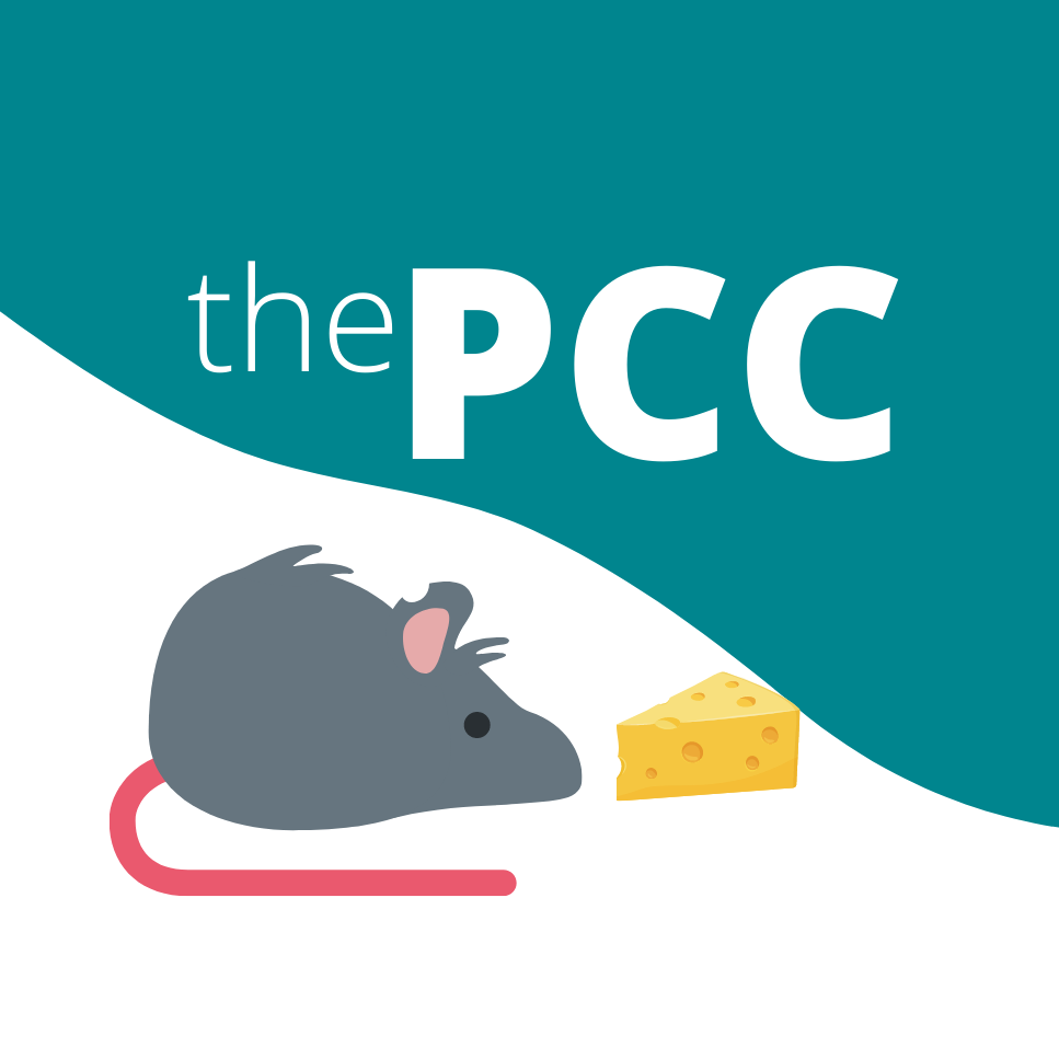 The Pest Control Company Ant Exterminator Singapore
