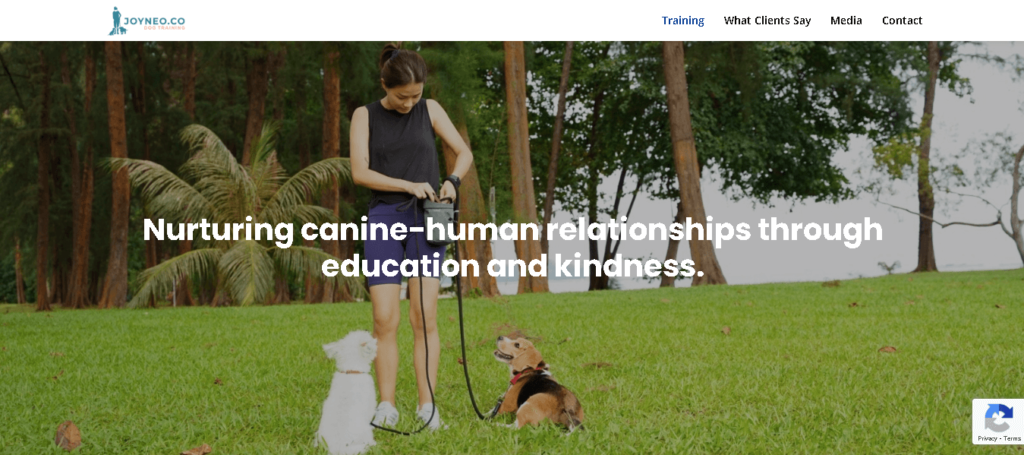 JOYNEO.CO DOG TRAINING Singapore
