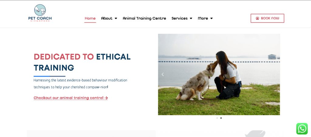 Pet Coach SG Dog Training Singapore