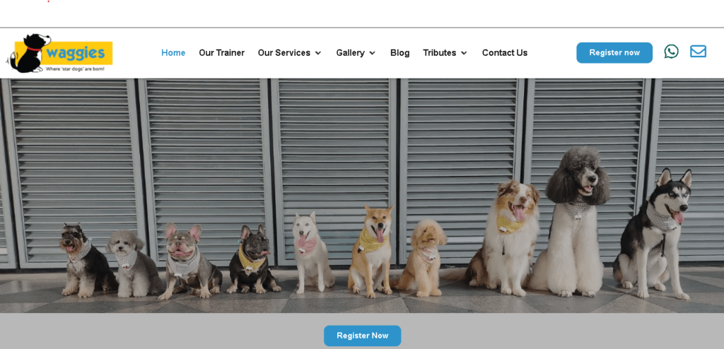 Waggie Dog School Singapore