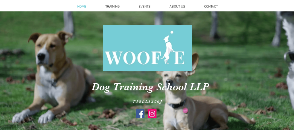 Woofie Dog Training School Singapore