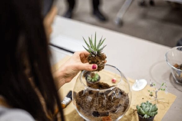 Best Terrarium Workshop Singapore