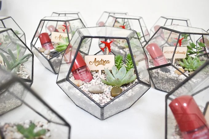 Craftsforgreen Workshops Terrarium Singapore