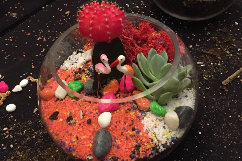 ECOPONICS Terrarium Making Singapore