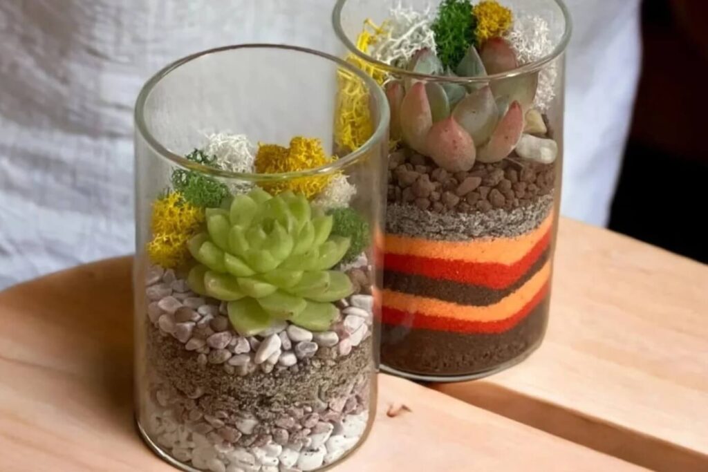 The Green Capsule Terrarium Workshop Singapore