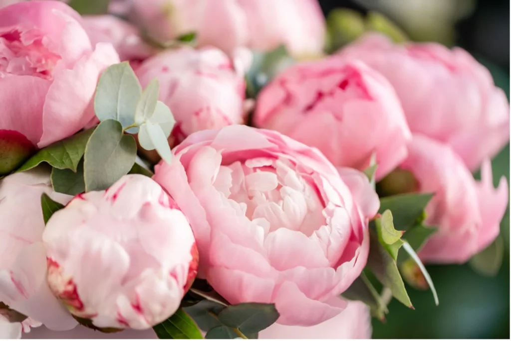 Floristique Best Valentine Flower Singapore