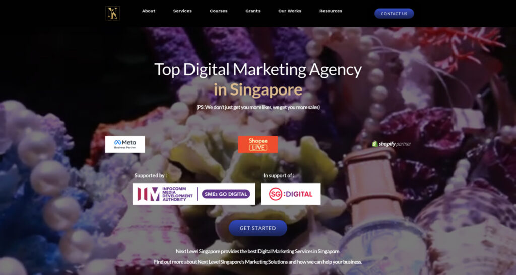 Next Level PSG Grant Digital Marketing Singapore
