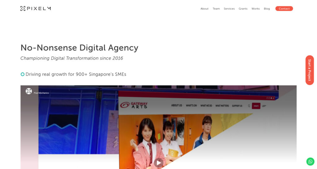 Pixel Mechanics For Digital Marketing PSG Grant Singapore