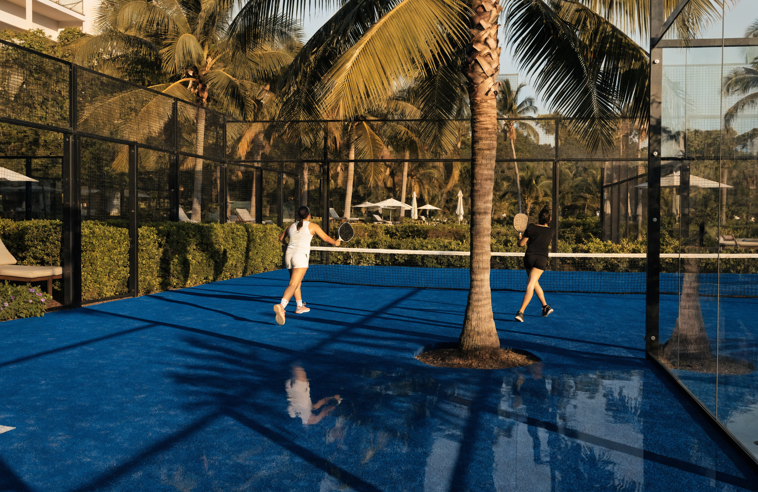 Illustrative resort-style padel court with palm trees, representing Ricochet Padel in Singapore